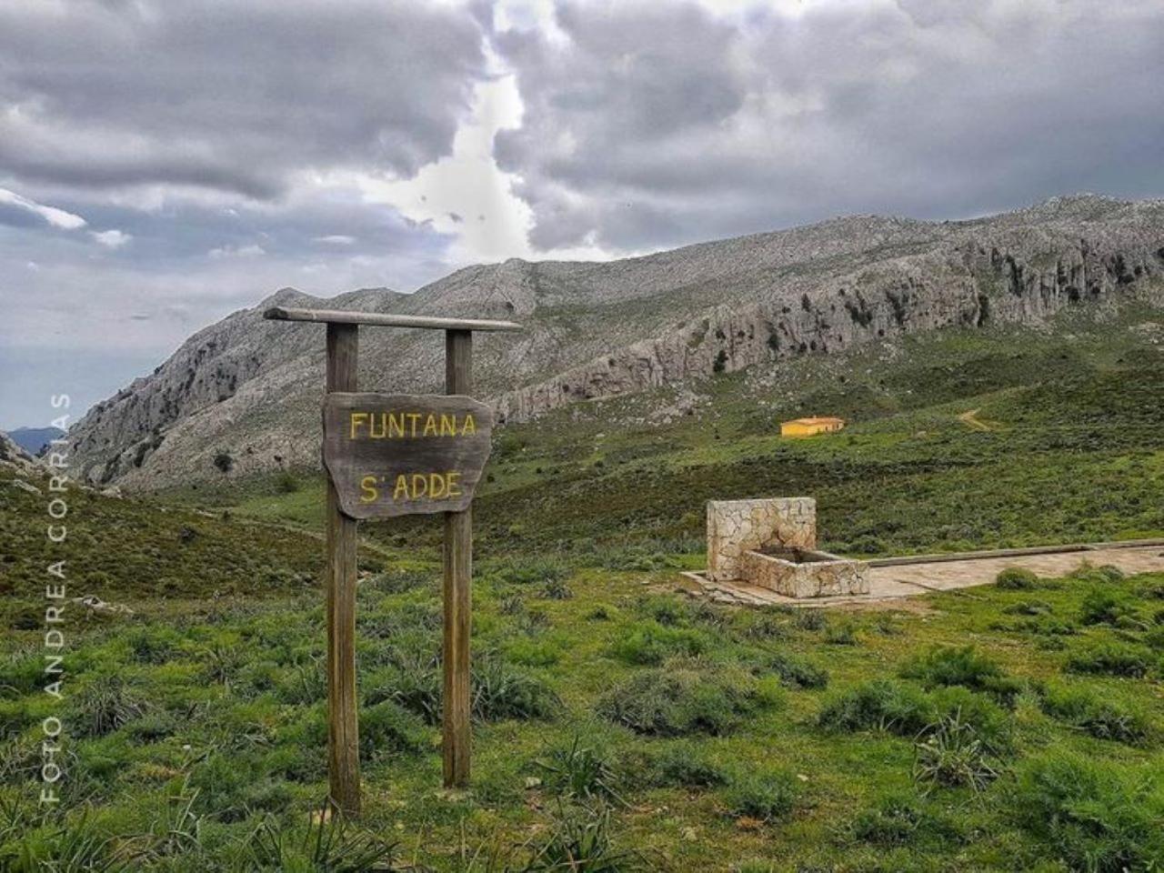 Monolocale Wenge' Villa Siniscola Bagian luar foto